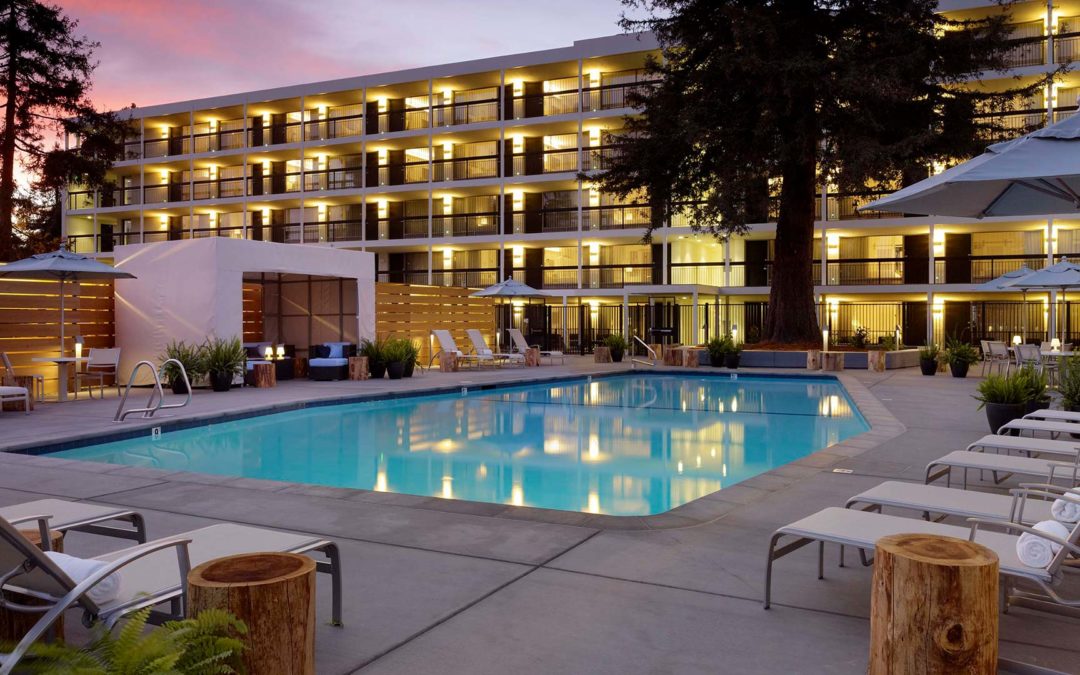 Hotel Paradox – Santa Cruz